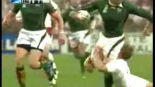 Cheetah vs Springbok  Leon Schuster song [upl. by Zena]