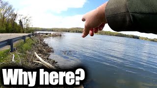 How do I Catch So Many Bluegill Where amp Why Bluegill Fishing Tips [upl. by Alleynad202]