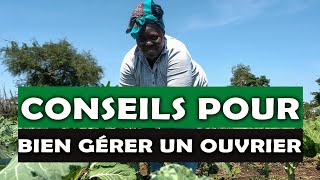 Conseil pour bien gérer une ferme agricole en Afrique [upl. by Ardnued211]