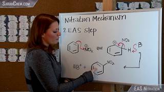 Electrophilic Aromatic Substitution EAS Reaction Nitration [upl. by Cuttie]