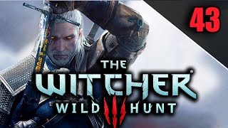 quotFIND THE KING OF BEGGARS HIDEOUT FOLLOW TRISS PYRES OF NOVIGRADquot The Witcher 3 Wild Hunt 43 [upl. by Torhert]