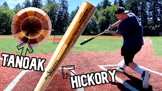 Hitting with the MacDougall PowerWood M21  Wood Baseball Bat Review [upl. by Giacamo278]