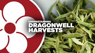 Dragonwell Harvests [upl. by Buiron]