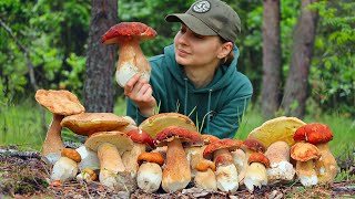 Picking and cooking Porcini mushrooms in Ukrainian forest in June Life in the village [upl. by Reginauld]