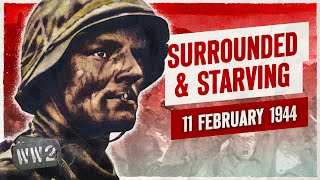 Week 233  German Desperation in Korsun Pocket  February 11 1944 [upl. by Orpah]