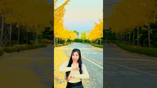 Dolkhali Charikote Naniko New Vlog Aaisakyo haii Hernus Sabaijanale🥰 praceetalama autumnkorea🍁 [upl. by Ahtnamas]