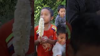 elotes gratis para toda la comunidad [upl. by Hsepid]