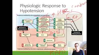 Pharmacology For PA Students Hypertension Part 1 [upl. by Arria880]