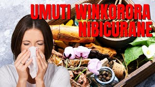 Umuti WINKORORA Nibicurane Icyo Wakora Ngo Wivure INKORORA [upl. by Annahael]