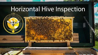 Long Langstroth Hive Update Inspection Saskatraz Honey Bees Horizontal Hive with Better Comb [upl. by Ydnal382]