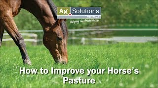 How to Improve your Horses Pasture [upl. by Bartram625]