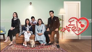 Dil Ke Chor  Telefilm  Hania Aamir  Momin Saqib  9th September 2022  HUM TV [upl. by Gerrald]