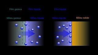 Absorption vs Adsorption 【4K】 [upl. by Mariellen]