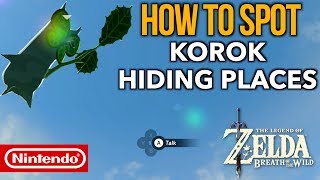 How to Spot and Find ALL Korok Hiding Places in Zelda Breath of the Wild [upl. by Oeram503]