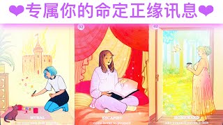 真爱占卜🔮 专属你的命定正缘讯息❤️外貌職業星座相遇時間吸引正缘能量法则🌟与真爱链接🌈占卜愛情塔羅牌 [upl. by Atinna942]