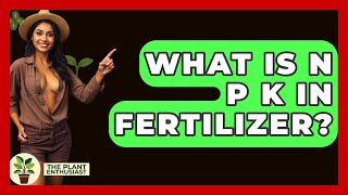 What Is N P K In Fertilizer  The Plant Enthusiast [upl. by Soren]