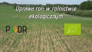 Uprawa roli w rolnictwie ekologicznym [upl. by Mahala]