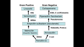 Aminoglycosides Mnemonics for Nurses ie Gentamicin [upl. by Haidabo]