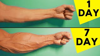 5 Best Exercises For Forearms  Home Workout [upl. by Parthinia]