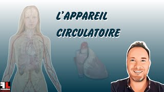 Anatomie de lappareil circulatoire [upl. by Notrom941]