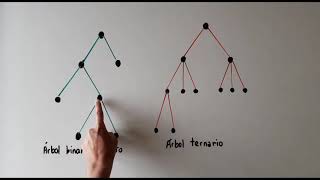 ÁRBOLES BINARIOS Matemática discreta [upl. by Boyes966]