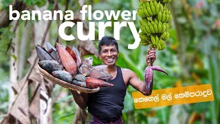 කෙහෙල් මලක් උයන විදිය Banana Flower Recipe Traditional Banana Blossom Curry Cooking on Rainy Day [upl. by Conchita]