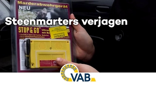 De vraag van Joni wat kan ik doen tegen steenmarters in de wagen [upl. by Led]