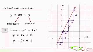 Wiskunde  Formule bij lineaire grafiek [upl. by Tadeo473]