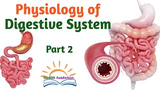 PhysiologyIntroduction to Physiology Helpful Video Lecture in Amharic Part 4 [upl. by Luce]