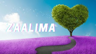 Zaalima  Slowed amp Reverb with Lyrics [upl. by Adnwahsat]