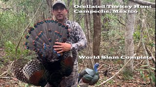 Epic Ocellated Turkey Hunt World Slam Complete [upl. by Philips]