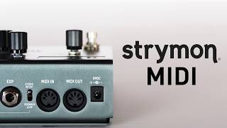 MIDI Control for Strymon Pedals [upl. by Etireugram892]