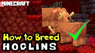 MINECRAFT  How to Breed HOGLINS [upl. by Elkin44]