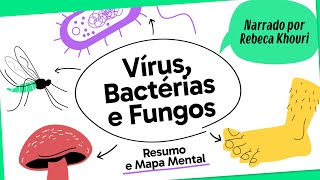 VÍRUS BACTÉRIAS E FUNGOS  BIOLOGIA  Mapa Mental  Quer Que Desenhe [upl. by Naenaj814]