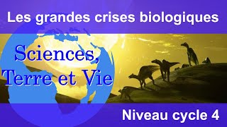 Les grandes crises biologiques [upl. by Avilys]