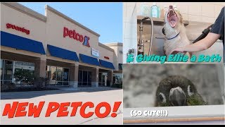 GIVING MY DOG A BATH and going to the new Petco [upl. by Nylorac]