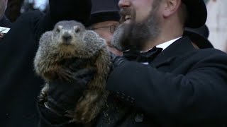 Punxsutawney Phil is a Dad [upl. by Diarmuid]