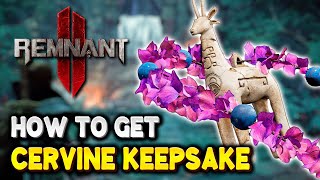 Remnant 2 How to get CERVINE KEEPSAKE Amulet Secret Doe Statue Room  The Forgotten Kingdom DLC [upl. by Ayarahs92]