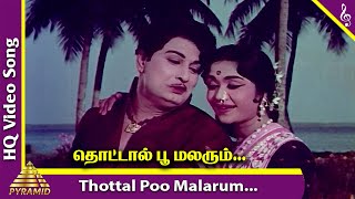 Thottal Poo Malarum Video Song  Padagotti Movie Songs  MGR  Saroja Devi  Pyramid Music [upl. by Bendicta]