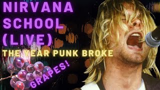 Nirvana  School Live  1991 The Year Punk Broke [upl. by Ayrad872]