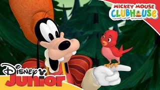 Mickey Mouse Clubhouse  The Good Witch  Official Disney Junior Africa [upl. by Orat877]