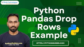 How to drop rows in Python Pandas  Python Pandas Drop Rows Example [upl. by Persis]