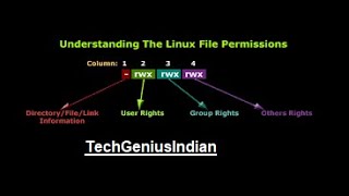 5Master chmod in Linux  File Permissions Made Easy [upl. by Black]