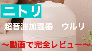 ニトリ商品レビュー 超音波加湿器ウルリ [upl. by Altheta]