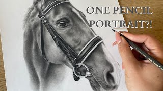 DRAWING A REALISTIC HORSE WITH ONE PENCIL [upl. by Tobye]