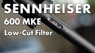 Sennheiser 600 MKE LowCut Filter Guide  How to Use and Apply LowCut Filters for Crisp Audio [upl. by Cockburn]