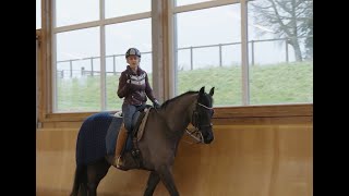 Dressage Training  How to Unlock Suppleness in Your Horse [upl. by Brenner]