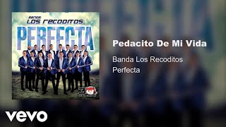 Banda Los Recoditos  Pedacito De Mi Vida Audio Oficial [upl. by Ianaj]