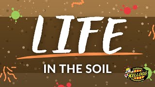 Life in the Soil [upl. by Daphna338]