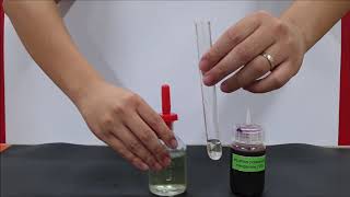 QA Lab Practical – Oxidising amp Reducing Agents – Test for Reducing Agent with KMnO4 [upl. by Nairam523]